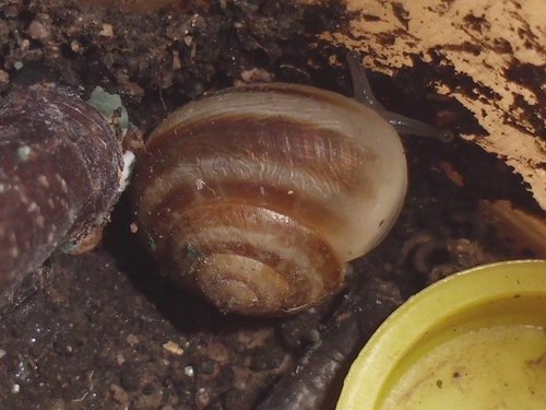 20170321_2407.jpg
