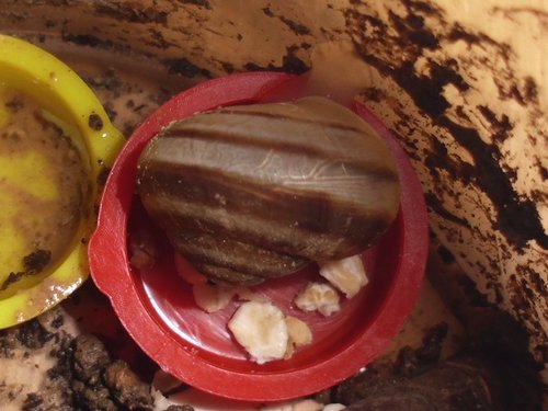 20170328_2491.jpg