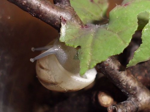 20170329_2495.jpg