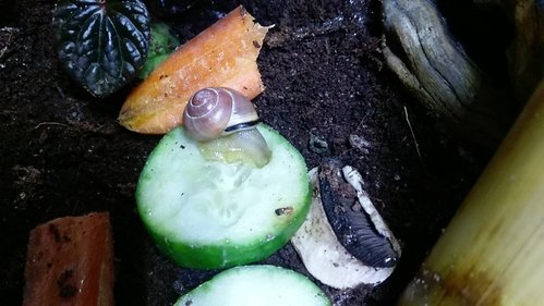 IMAG0822.jpg