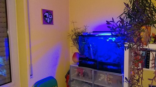 IMAG0831.jpg