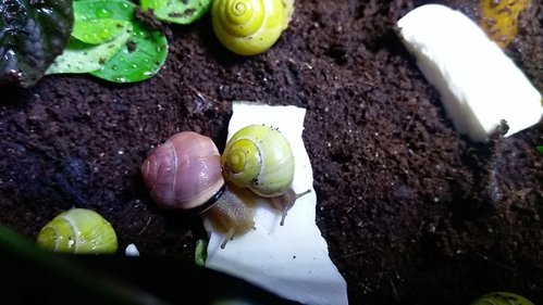 IMAG0895.jpg