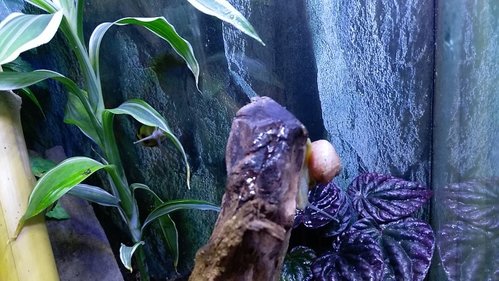 IMAG0900.jpg