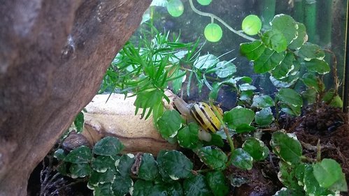 IMAG0934.jpg