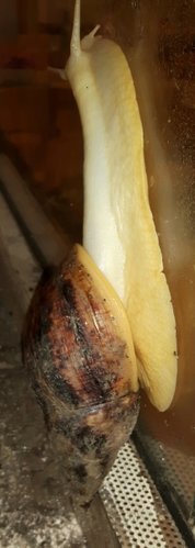 20170404_181820.jpg