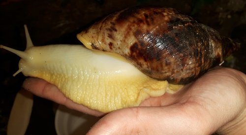 20170404_215405.jpg