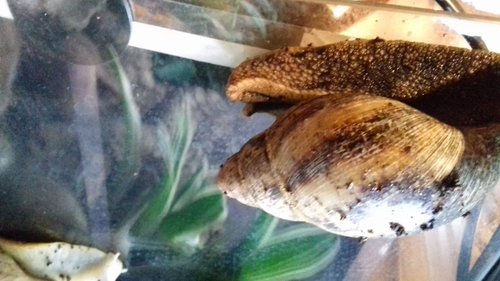 20170328_072016.jpg