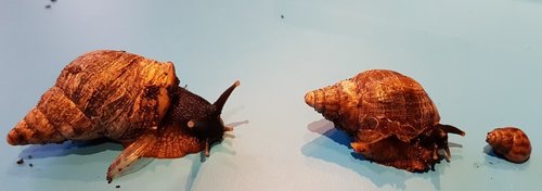 20170406_084851 (2).jpg