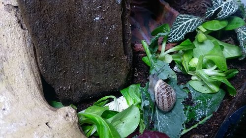 IMAG0952.jpg