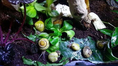 IMAG0955.jpg