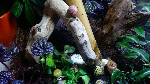 IMAG0950.jpg