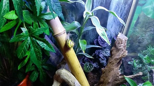 IMAG0954.jpg
