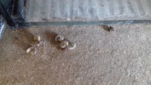 20170312_134509.jpg