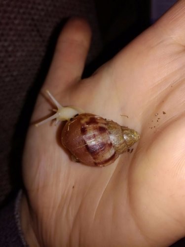 WhatsApp Image 2017-04-14 at 21.49.27 (1).jpeg