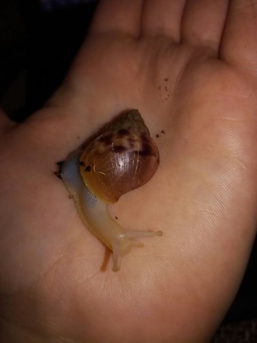 WhatsApp Image 2017-04-14 at 21.49.12.jpeg