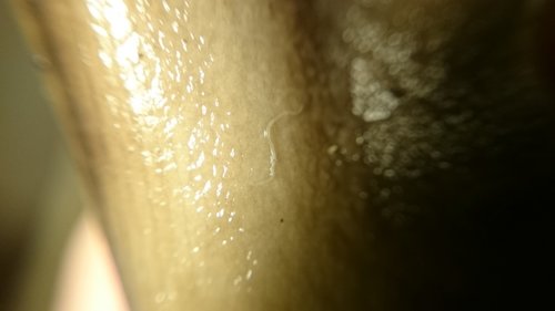 tmp_19955-DSC_60681939789871.JPG