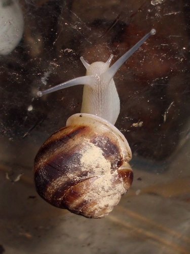 20170426_2757.jpg
