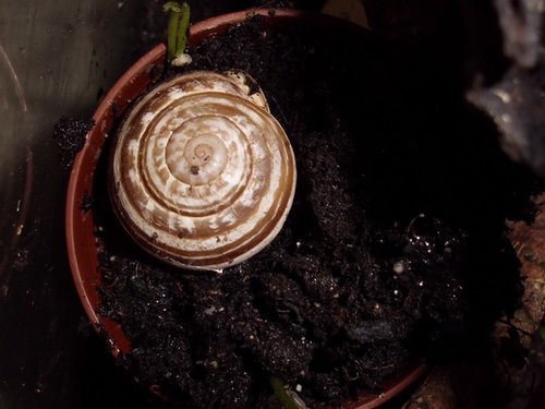 20170503_2853.jpg