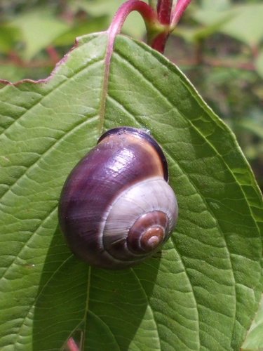 20160706_9941.jpg