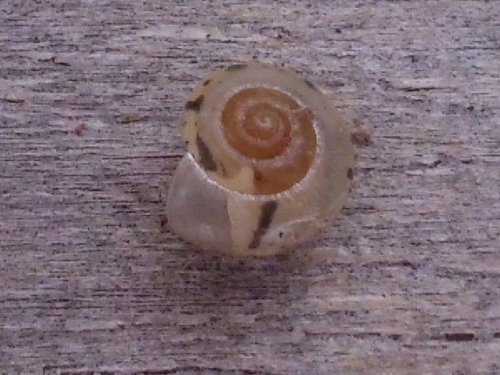 20160724_0360.jpg