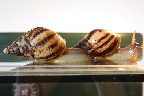 img_1150_passig_gemacht.jpg