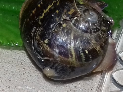 20170508_165307.jpg