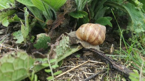 IMG_20170508_165733.jpg