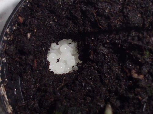 20170508_2942.jpg