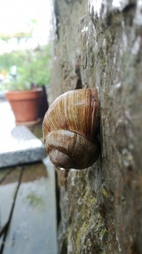 IMG_20170512_144214.jpg