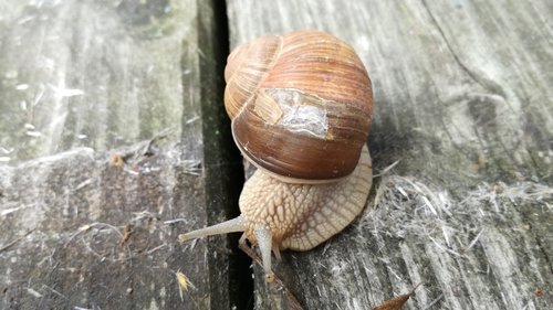 IMG_20170513_163056.jpg