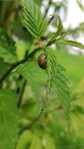 IMG_20170514_145942.jpg