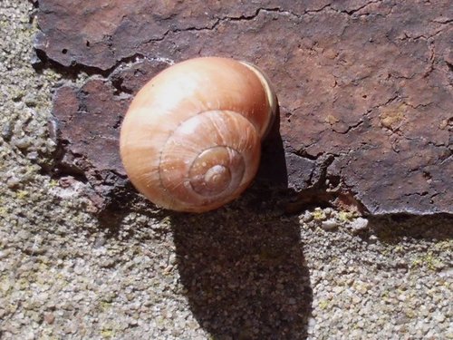 20170515_3097.jpg