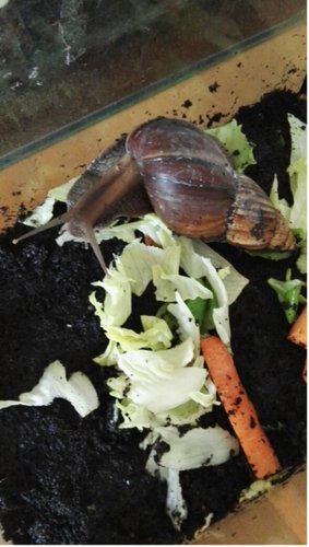 Bildschirmfoto 2017-05-18 um 09.12.43.png