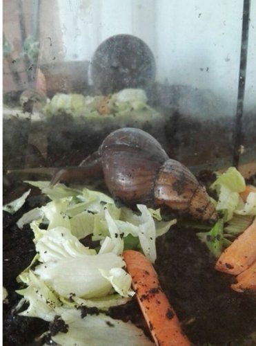 Bildschirmfoto 2017-05-18 um 09.13.14.png