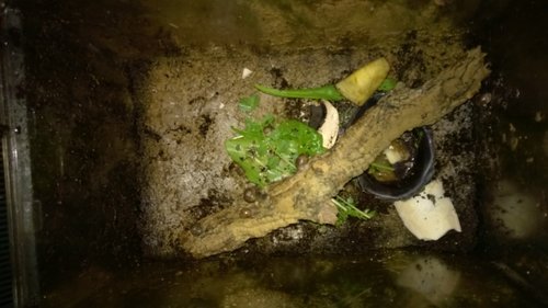 WP_20170518_002.jpg