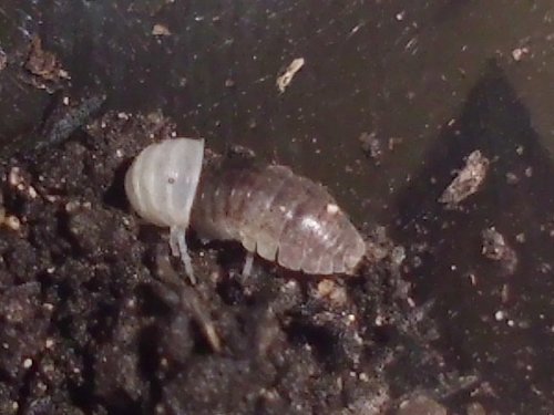 20170513_3013.jpg