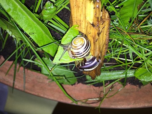 IMG_1646.JPG