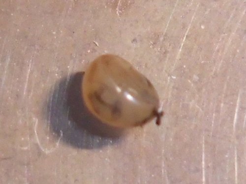 20170520_3183.jpg