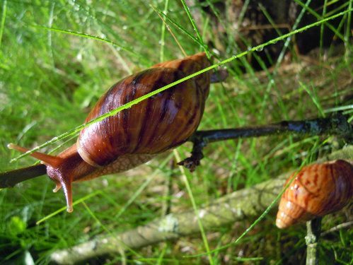 DSCN8502.JPG