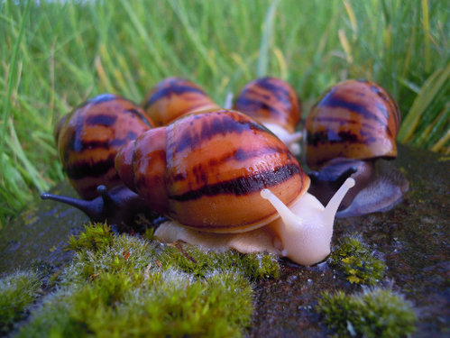 DSCN8603.JPG