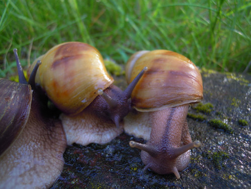 DSCN8566.JPG