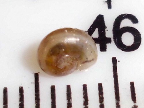 20170524_3297.jpg