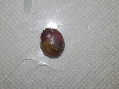 20170525_205139.jpg