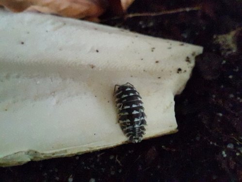20170523_171448.jpg