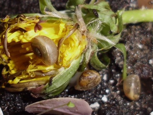 20170528_3367.jpg