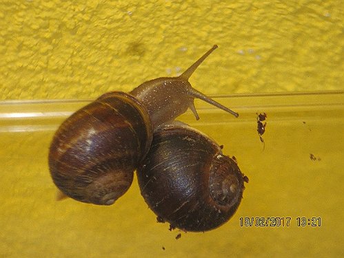 Download %2819%29 (1).jpg