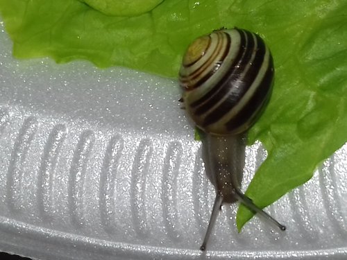 20170529_154330.jpg