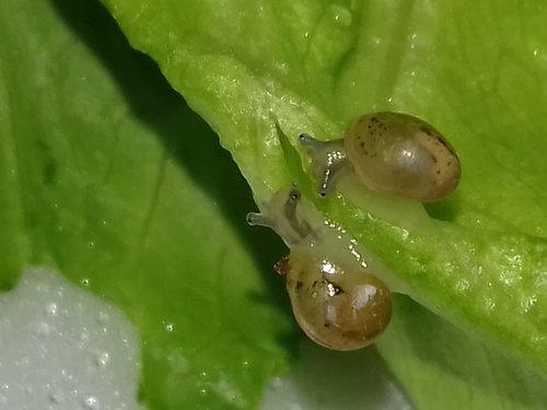 20170529_154649.jpg