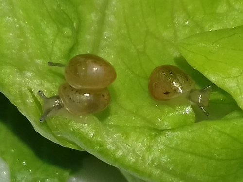 20170529_155029.jpg