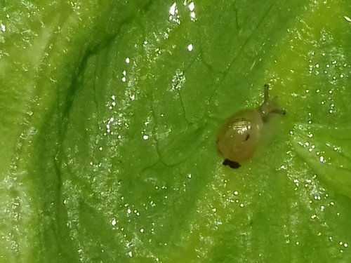 20170529_154638.jpg